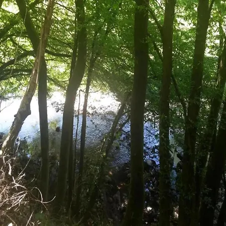 Stilvolle Im Ostseebad 아파트 *