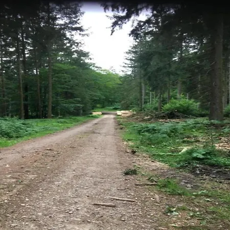 아파트 Stilvolle Im Ostseebad 볼텐하겐