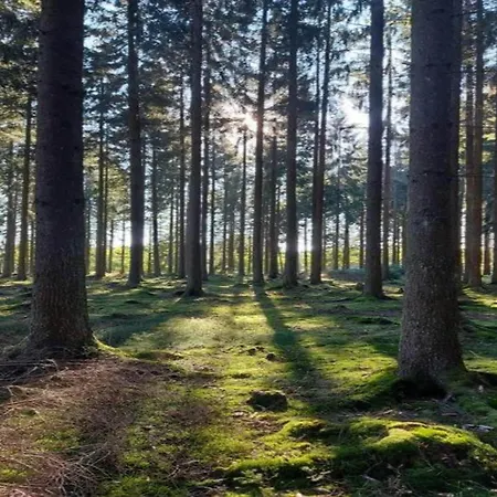 Stilvolle Im Ostseebad 아파트 *