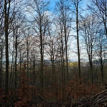 아파트 Stilvolle Im Ostseebad 볼텐하겐