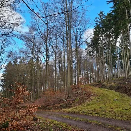 Stilvolle Im Ostseebad 아파트 볼텐하겐