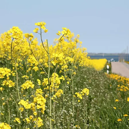 Stilvolle Im Ostseebad 볼텐하겐